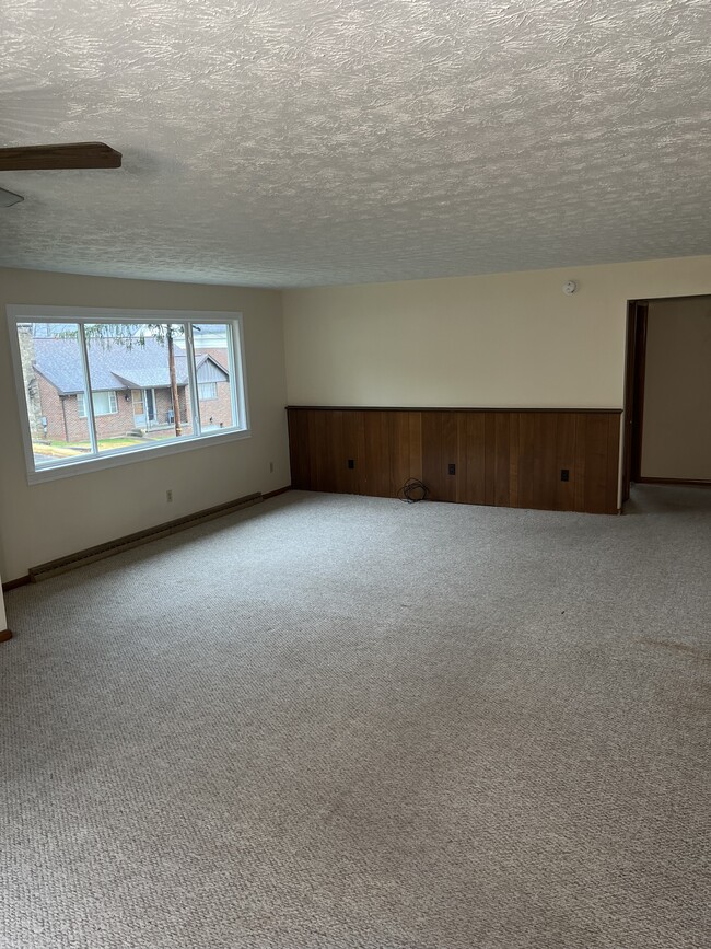 889 Ivy Ave, Wheeling, WV 26003 - photo 4