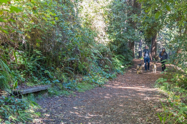 Otis R Johnson Park in Fort Bragg is a beautiful redwood grove park with hiking trails.