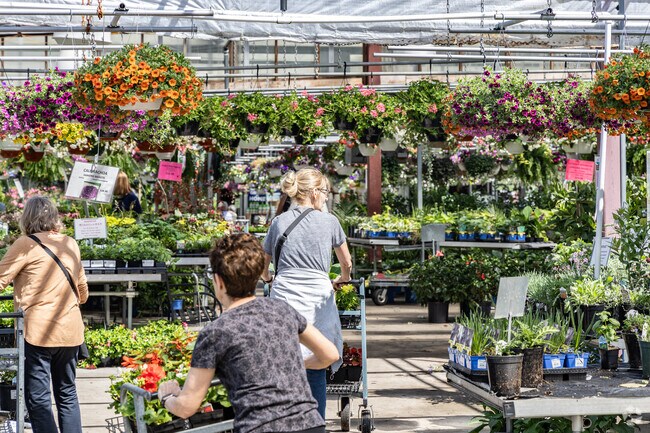 Spring time means buying flowers at Brenckles Greenhouses in Reserve Township.