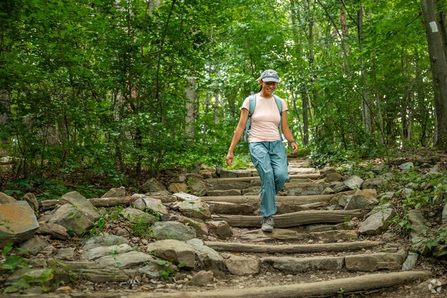 A portion of he Appalachian Trail runs through Mount Aetna.