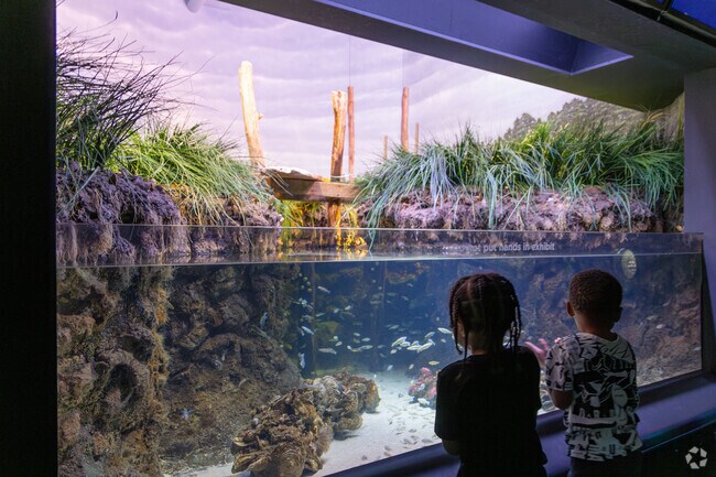 The National Aquarium has over 20,000 aquatic animals from more than 700 species.