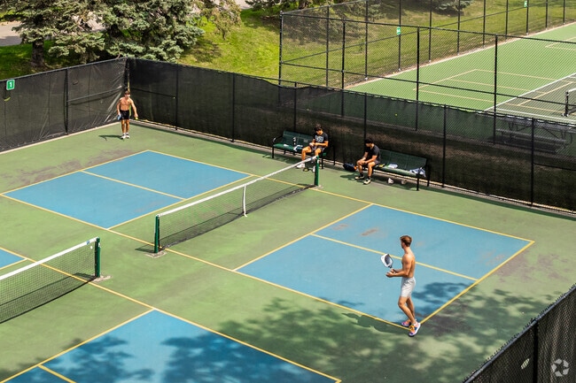 Rosland Park in Edina feature five new side-by-side pickleball courts.