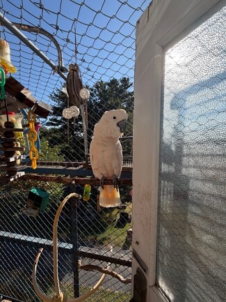 101 Ten Broeck Ln Unit For The Birds, Hudson, NY 12534