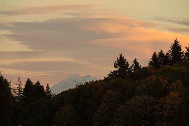 13211 NE 127th Way unit C, Kirkland, WA 98034 - photo 3