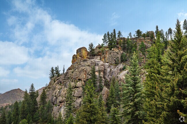 Experience the beauty of the Rocky Mountain Foothills in Pine Junction Area.