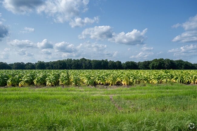 Belvoir is home to many different types of agriculture.