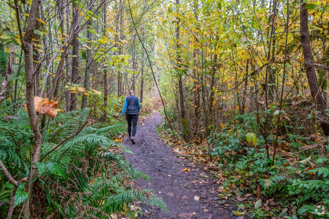 Take a hike through Squak Mountain State Park's 1,600 acre trail system.