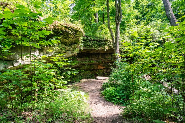 Venture through the woods at the Princess Ledges Nature Preserve in Brunswick.