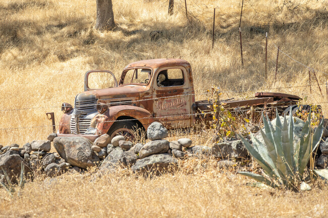 Old rusted cars can be found throughout Paradise.