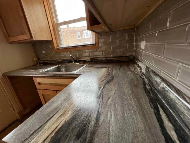 7250 S Euclid Ave, Chicago, IL 60649 - photo 3