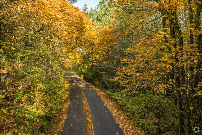 Penrose Point State Park is reached by a quiet tree-lined road in Home.