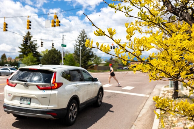Springs Ranch has colorful trees that line the streets.