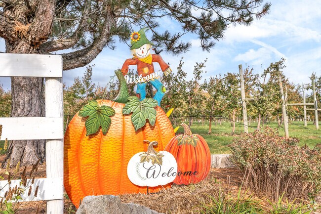 Many residents decorate their properties in Alden.