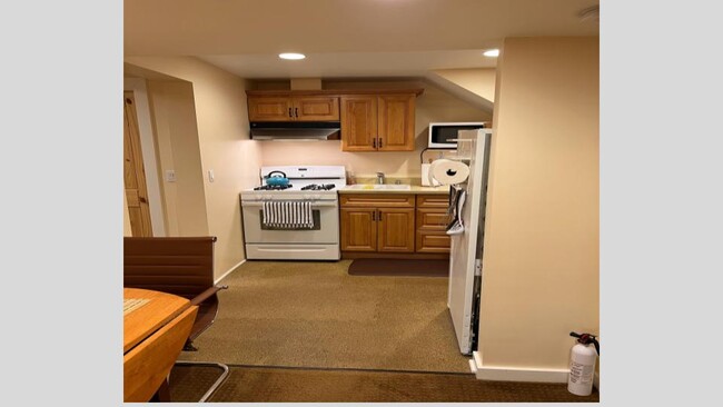 Stove / oven (gas)