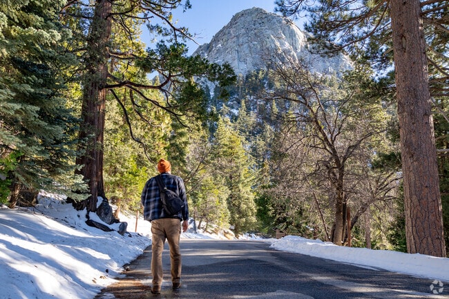 Take a hike in the mountains near Pine Cove.