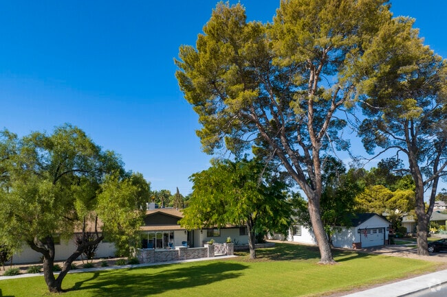 Bring an older neighborhood in Phoenix, Arcadia Lite has many large trees.