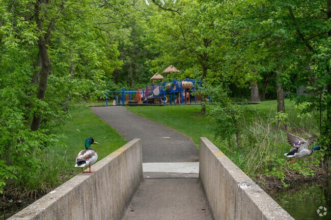 Belmont Park in the Palomino Hills neighborhood is next to a pond with visiting waterfowl.