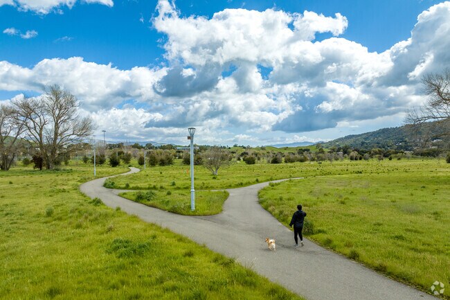 Bernal Community Park is an ideal spot for dog owners and their furry friends in Valley Trails.