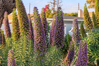 El Dorado Park South