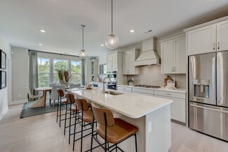 516 Annie Lowery Way, Davidson, NC 28036
