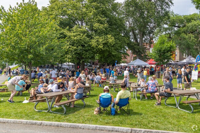 People enjoy the Harrisburg Arts Fest, held every year near Steelton.