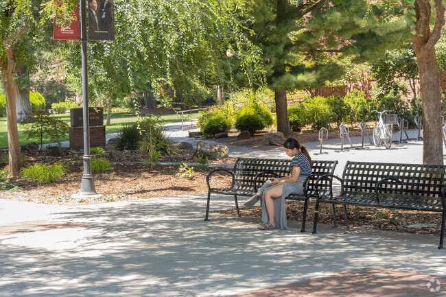 In the summer months, CSU Chico is more like a park than a school.