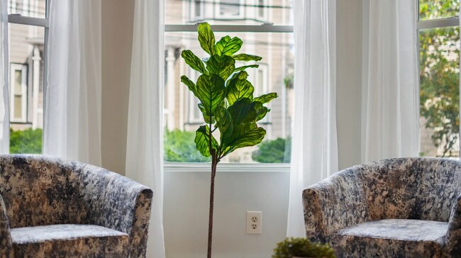 23 Highgate St unit 21, Allston, MA 02134 - photo 4