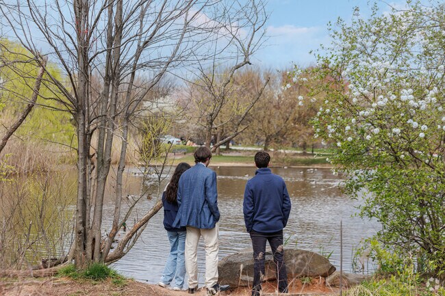 During the spring, the ducks all return to Patterson Park, near Middle East.
