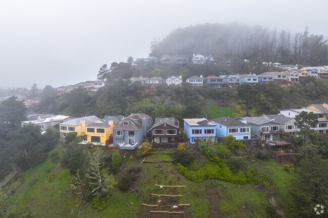 Homes at the side of the hill in Forest Knolls on a foggy day.