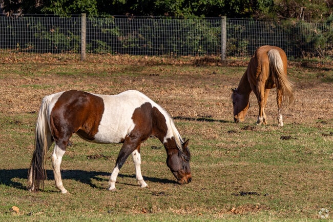 You can spot many small farms along the road in Mifflin.