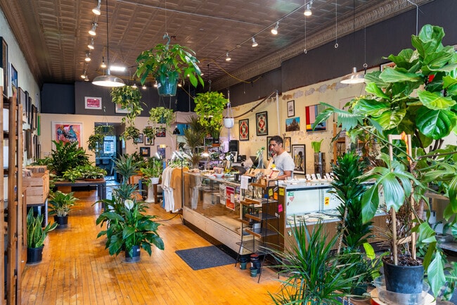 Plant Mode has a wonderful variety of plants for sale in Downtown Champaign.