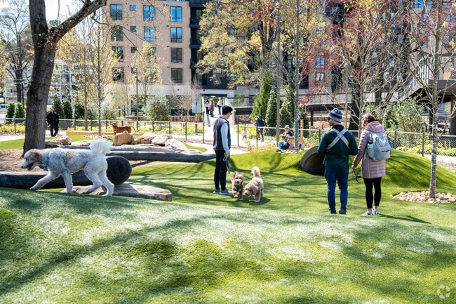 Downtown Cary offers fenced in dog park for some off leash fun near Cary Towne Center.