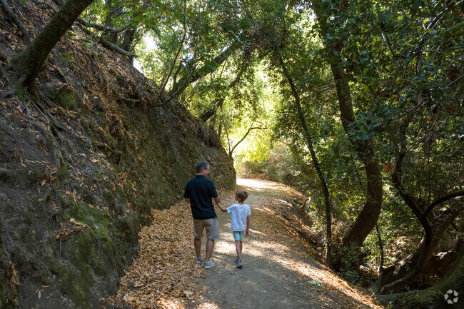 Immerse yourself in Hayward’s natural beauty at the Ward Creek Trail.