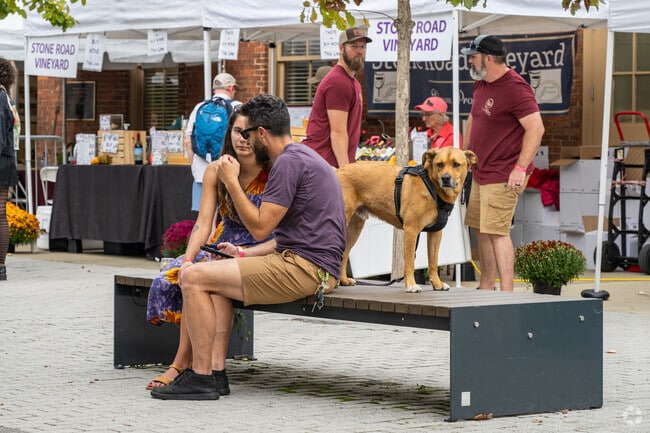 Even the dogs were enjoying the music at the Wine and Jazz Festival in Downtown Morgantown.