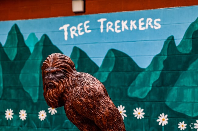 Kids climb, swing, and zip across 30 acres of protected forest at Tree Trekkers.