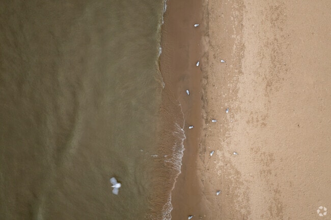 North Beach offers natural beauty to North Bay-Shorecrest residents.