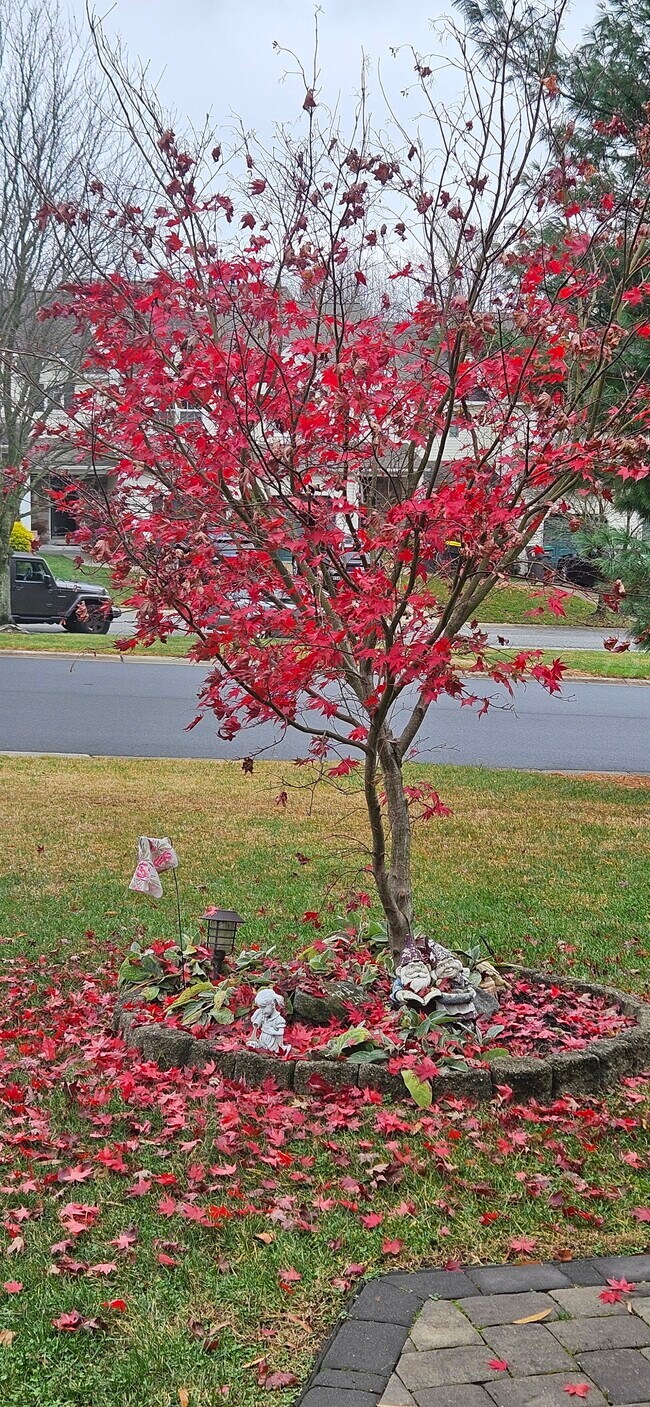 34 Degas Cir, Wilmington, DE 19808 - photo 7