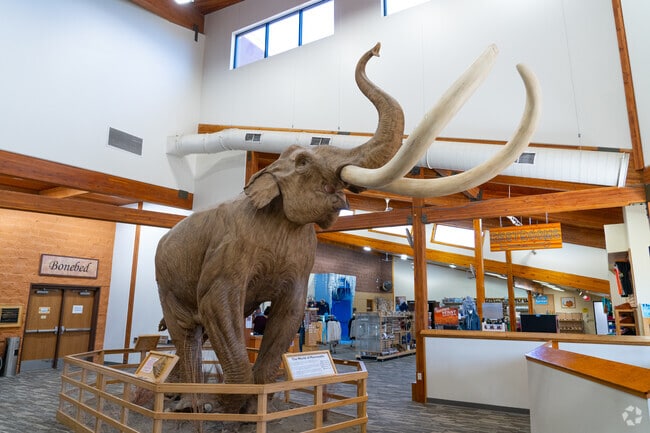 Residents enjoy learning about prehistoric animals at The Mammoth Site in Hot Springs.