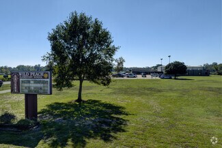 Wild Peach Elementary School