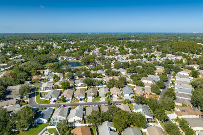 River Ridge, New Port Richey Real Estate & Homes for Sale - Homes.com