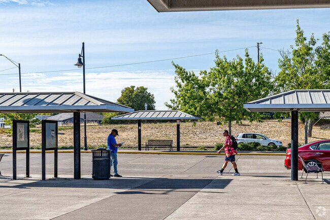 The bus lines in Albany connect suburban neighborhoods to broader rail transportation.