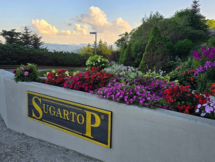 SugarTop Resort unit 2123, Sugar Mountain, NC 28604 - photo 1
