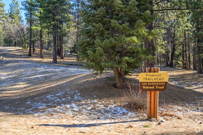 The 7-mile Pineknot Trail is one of the most popular places to hike in Big Bear City.