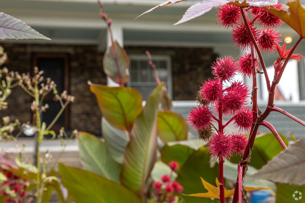 FINAL_Neighborhood_Uniontown_V1_11823