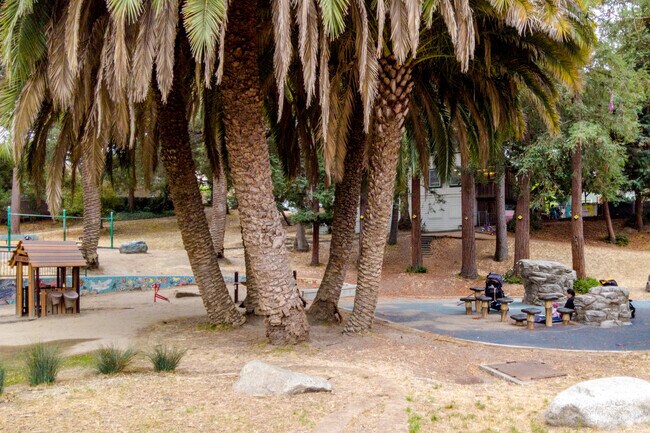 Maxwell Park is a palm tree-studded park offers shady areas near Fairfax.