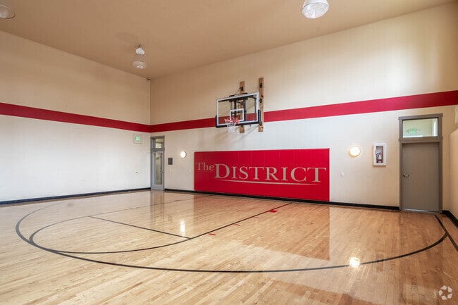 Basketball Court