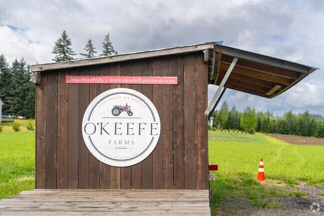 O'Keefe Farms hosts the annual sunflower festival.