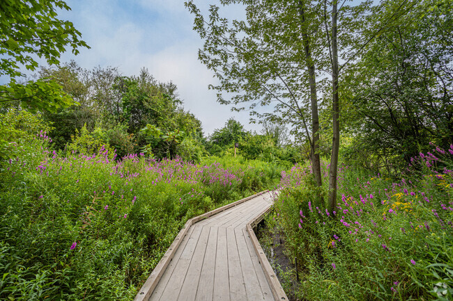 Walk path along Whispering Hill Trail in Cummingsville.