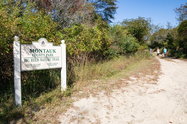 Walk the Big Reed Nature Trail in Montauk.