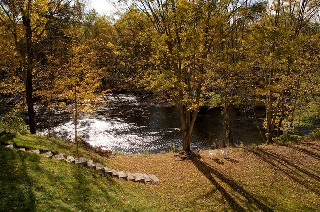 ENTRY TO RIVER WITH a HAMMOC